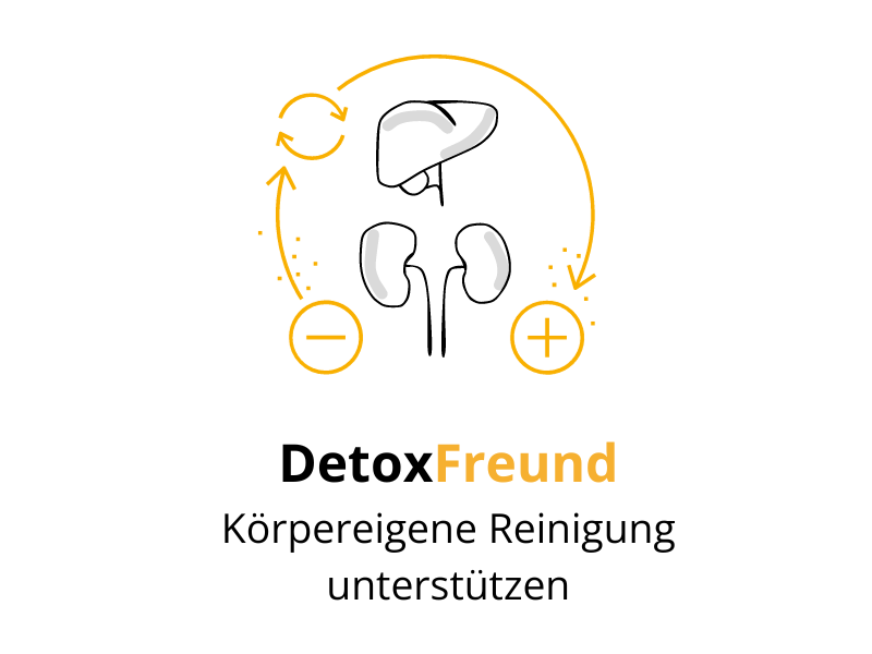 DetoxFREUND