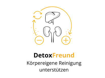 DetoxFREUND